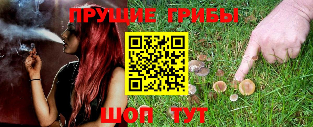 Солнечногорск  купить  сайты  Вход с VPN  Псилоцибиновые грибы ЛСД 
